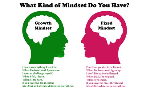 Fixed vs. Growth: The Two Basic Mindsets That Shape Our Lives – Evolve Me