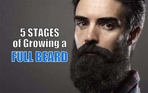 5 Stages of Beard Growth Cycle - With Week by Week Image