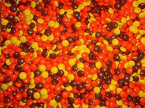 Reese's Pieces - Reese's Photo (271056) - Fanpop