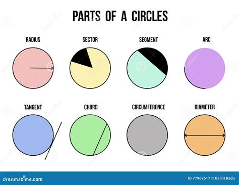 Partes De Círculos En El Fondo Blanco Ilustración del Vector ...