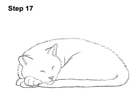 Simple Cat Drawing Laying Down - Draw easy