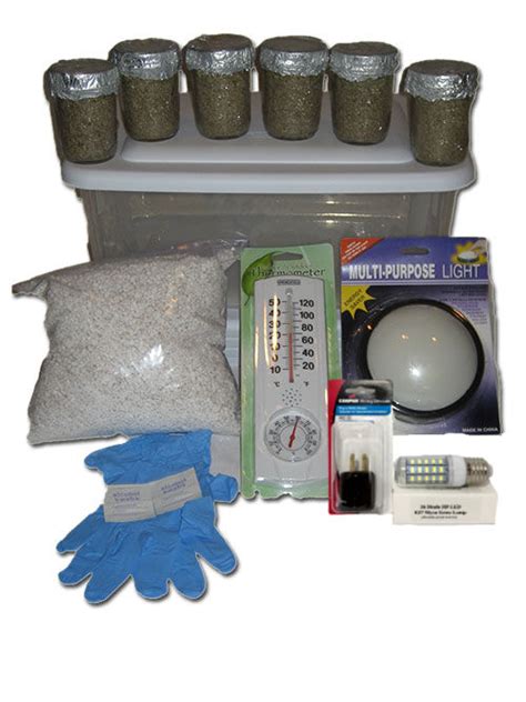 The Best Magic Mushroom Grow Kits Reviewed