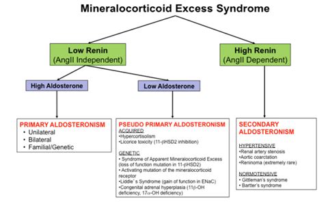 Figure 3. [The Approach to Mineralocorticoid Excess...]. - Endotext - NCBI Bookshelf