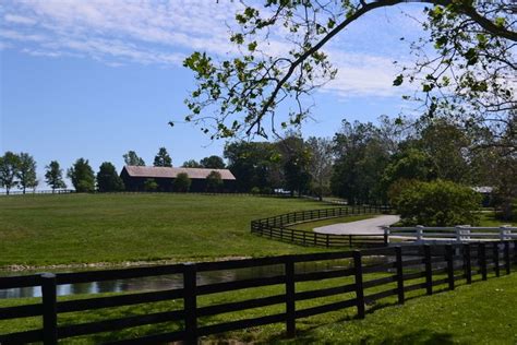 Claiborne Farm - Alchetron, The Free Social Encyclopedia