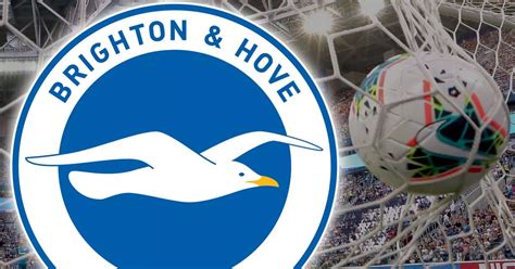 Brighton Fc