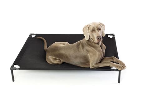 K9 Ballistics Chew Proof Dog Bed: Best Chew Proof & Indestructible Bed