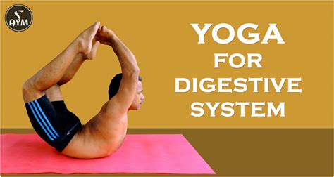 Yoga for Digestive System - AYM Yoga -- AYM Yoga School | PRLog