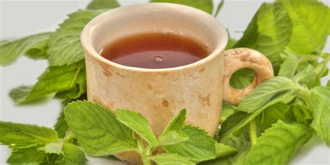 Peppermint Tea Benefits & Side Effects | Kent Tea & Coffee Co