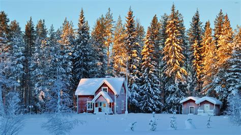 Small houses in the snowy forest wallpaper - Nature wallpapers - #46489