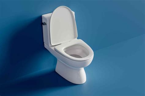 Do You Really Need to Close the Toilet Lid Before Flushing?