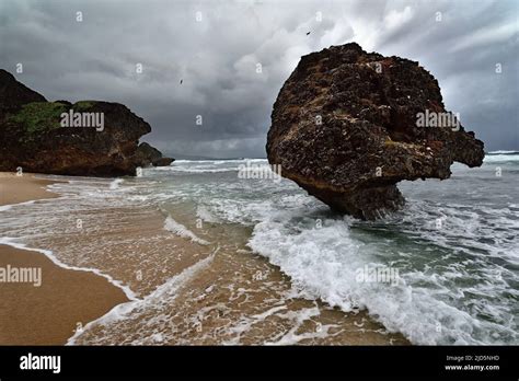 The rocks formation on the beach of Bathsheba, East coast of island ...