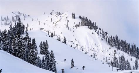 1 dead, 1 injured after avalanche rips through Lake Tahoe ski resort ...