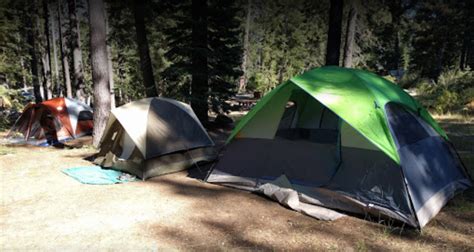 William Kent Campground - 3 Photos, 1 Reviews - Tahoe City, CA