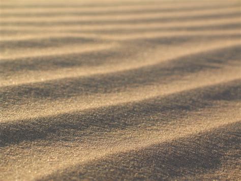 Free desert shadow Photos & Pictures | FreeImages