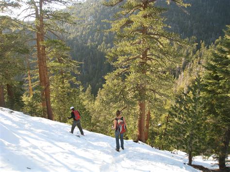 To California...and Beyond?: Hiking in Idyllwild