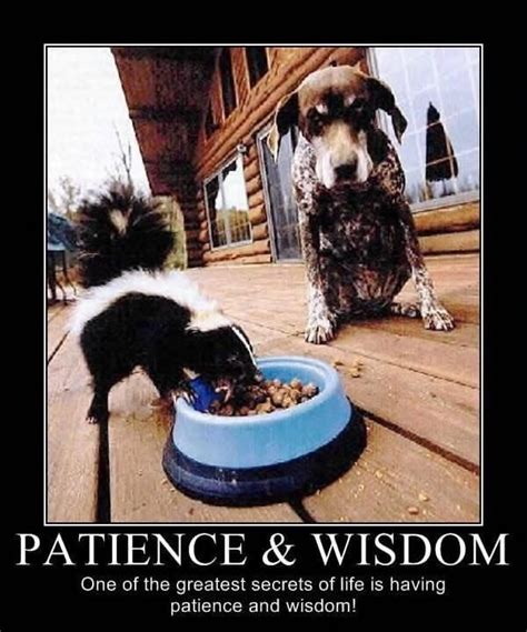 Patience Is A Virtue Quotes Funny - ShortQuotes.cc