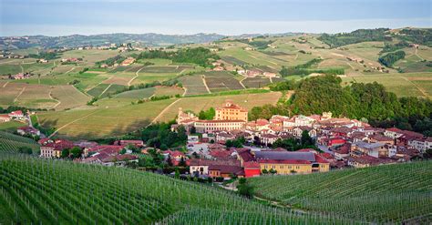 Barolo - A Guide To Barolo Red Wines From Italy | Wine 101