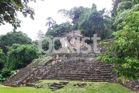 Palenque Mayan Ruins in Mexico - Boxist.com Photography / Sam Mugraby's ...