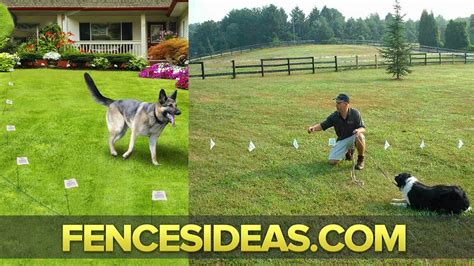 Invisible Fence | Invisible Fence For Dogs | Petsafe Fence | Electric ...