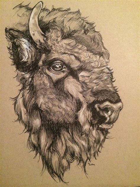 Image result for buffalo head drawing | Bison art, Buffalo art, Buffalo ...