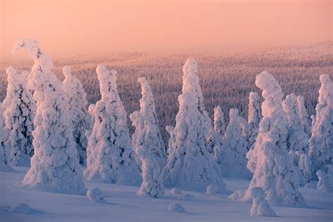 Lapland Winter Adventure - Finland - Lofoten Tours