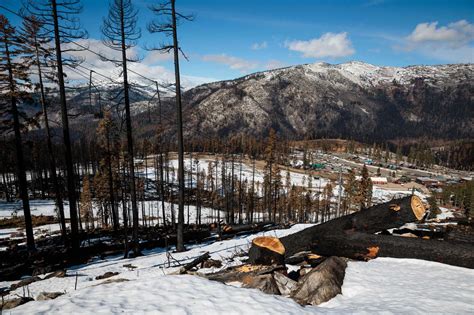 Caldor Fire scorched hundreds of thousands of acres. Now comes the plan to restore them