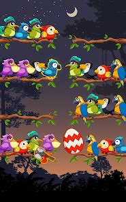 Bird Sort Color Puzzle Game - Apps on Google Play