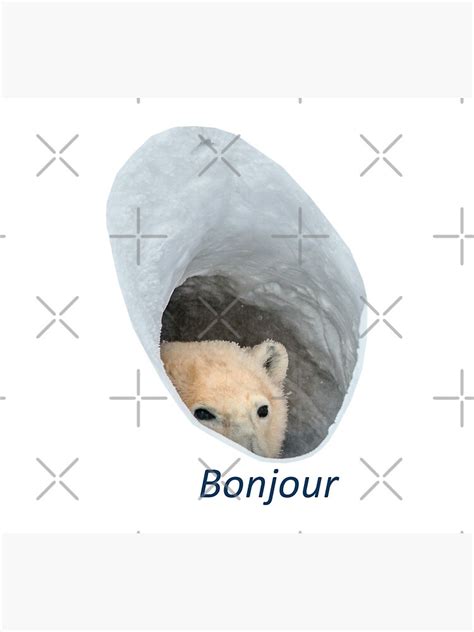 "Bonjour polar bear meme" Photographic Print for Sale by HangLooseDraft | Redbubble