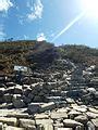 Category:Mount Coolum National Park - Wikimedia Commons