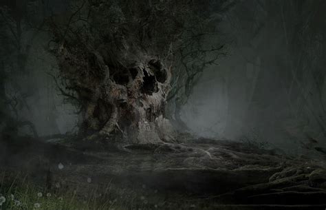 Dark Forest , Syncraft Studio | Viejitos, Arte, Lugares