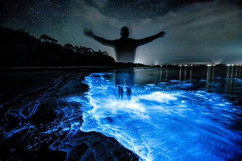 Bioluminescent Bays in Puerto Rico: Best Time to Go