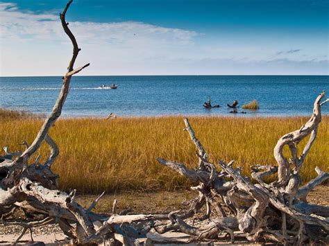 Horseshoe Beach, Florida, United States - Fishory