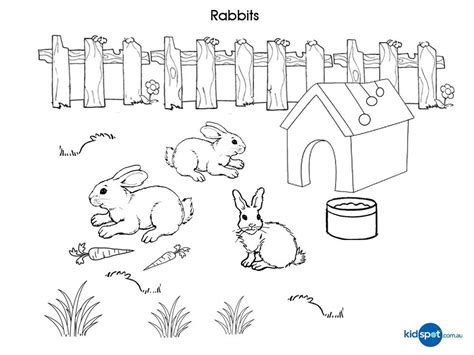 Coloring Page Rabbit And Burrow Coloring Pages