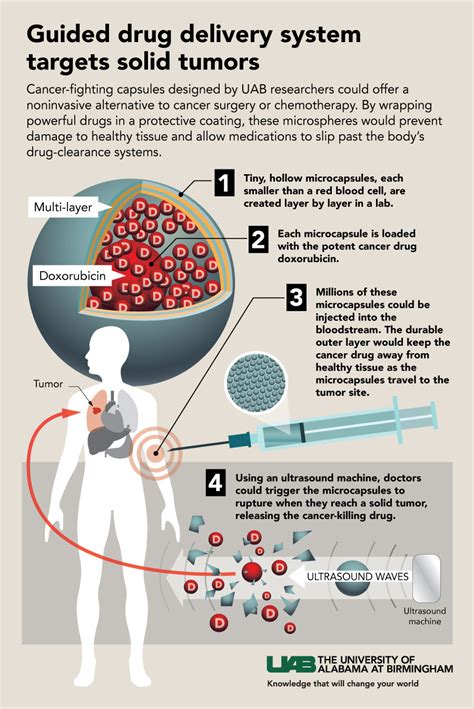 UAB - News - UAB creates triple-threat cancer-fighting polymer capsules for guided drug delivery