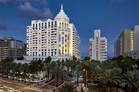 Pet-Friendly Hotels In Miami | Book from 50+ Stay Options @Best Price