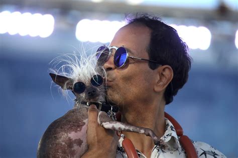 World's Ugliest Dog Contest 2019 | Il cane più brutto al mondo