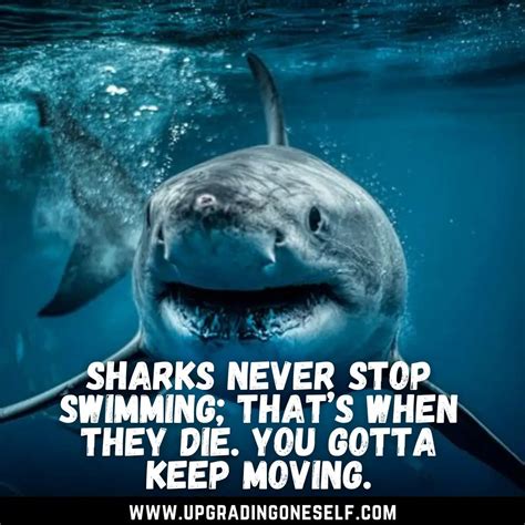 Top 15 Best Quotes About Shark To Blow Your Mind