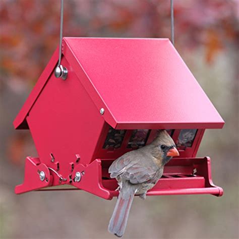 Audubon "Mini" Absolute Squirrel Resistant Bird Feeder Model 7458