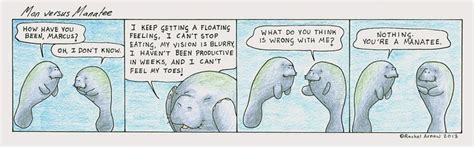 Man versus Manatee » Manatee Problems | Manatee, Animated animals ...