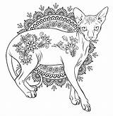 Sphynx Cat Coloring Page Pages sketch template