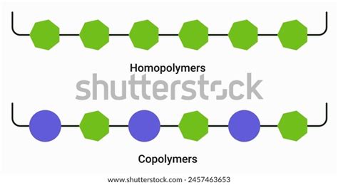 Types Polymers Reaction Stock Vector (Royalty Free) 2457463653 | Shutterstock