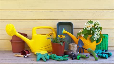 The 5 Best Tools For Watering Your Plants