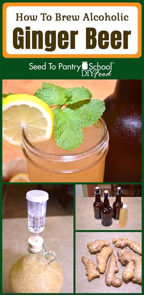 How to brew an alcoholic ginger beer at home - we show you the easy way and talk about some ...