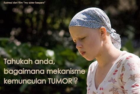 Faktor Risiko Tumor Otak - Tumor Otak