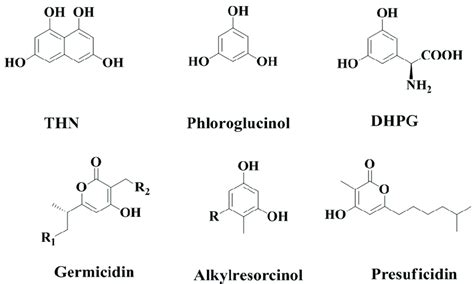 Chemical structures of major bacterial type III polyketide synthase ...