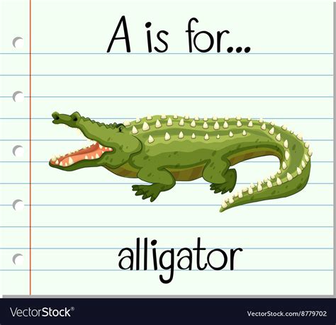 Flashcard letter a is for alligator Royalty Free Vector