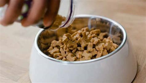 Nature's Best: Natural Dog Food Brands - Barking Buddies