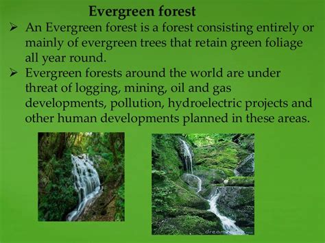 Forest resources