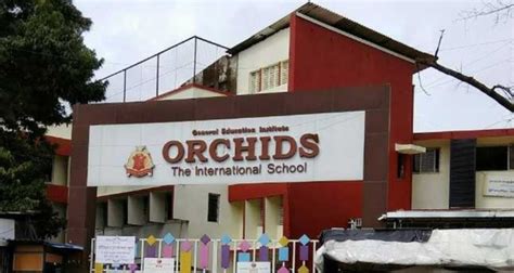 Orchids The International School