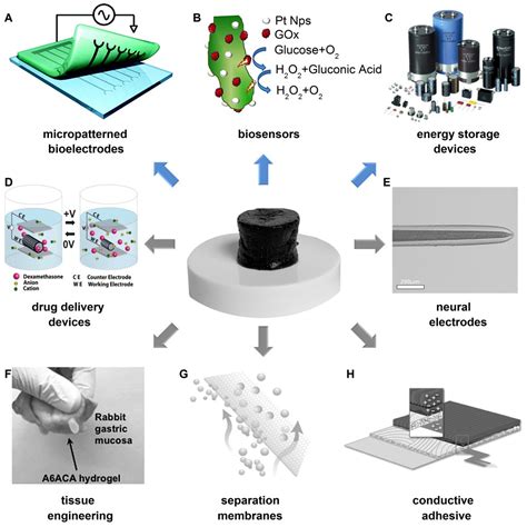 Conductive polymer hydrogels for the next generation of high-performance electrochemical devices ...